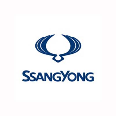 Ssangyong dashboard lights and meaning